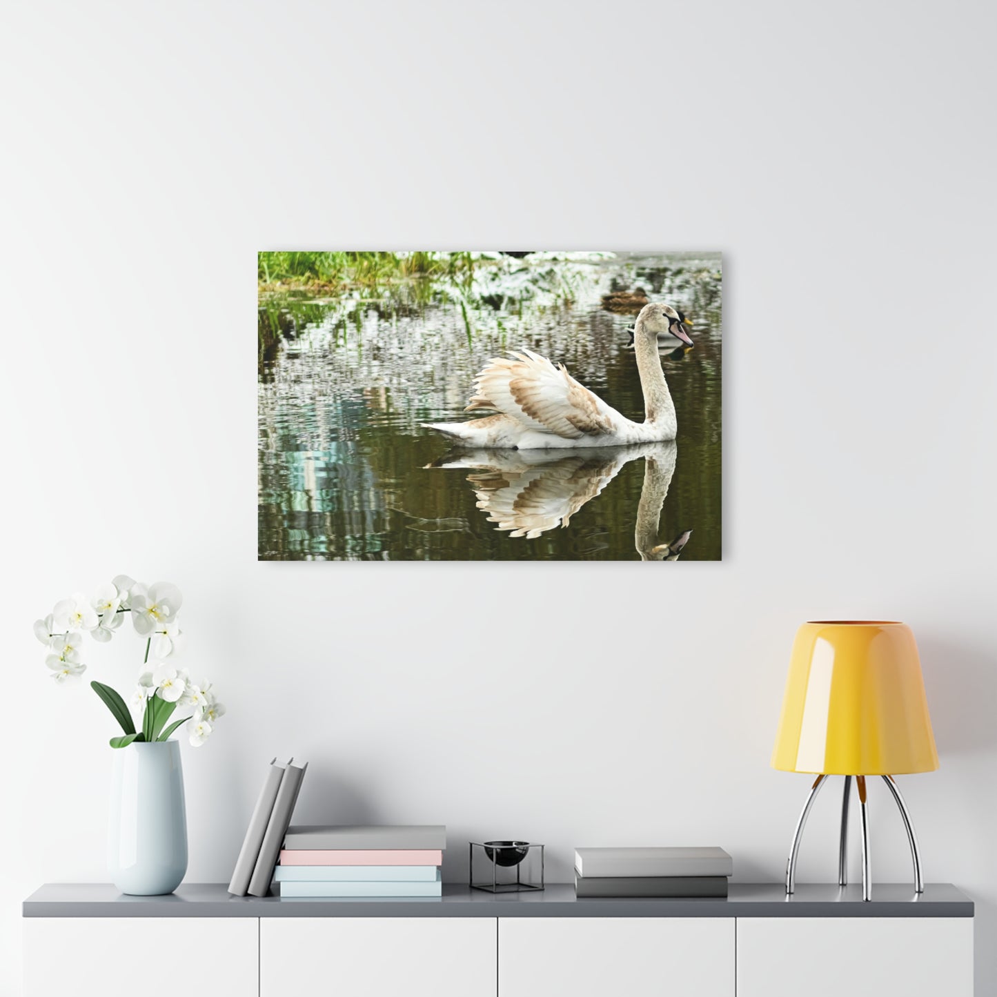 Glass Swan -Acrylic Prints (French Cleat Hanging)