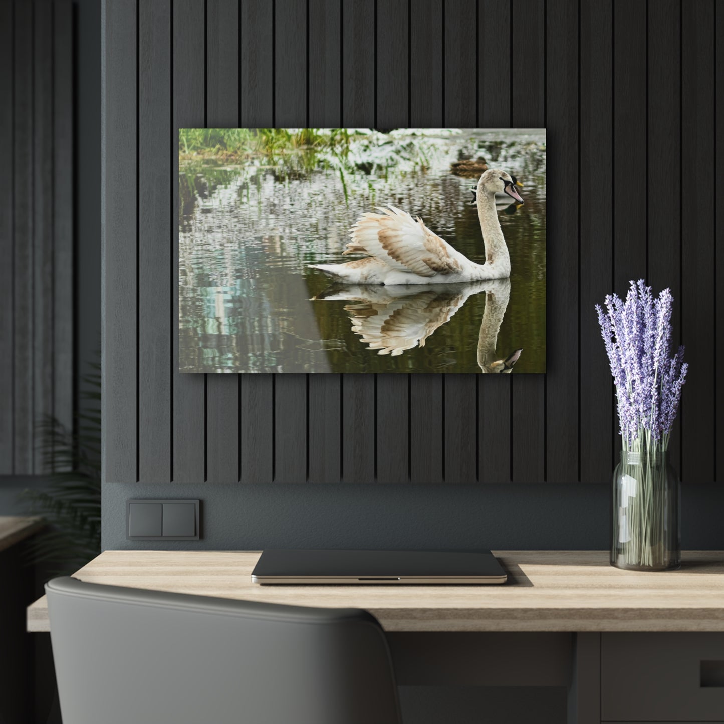 Glass Swan -Acrylic Prints (French Cleat Hanging)